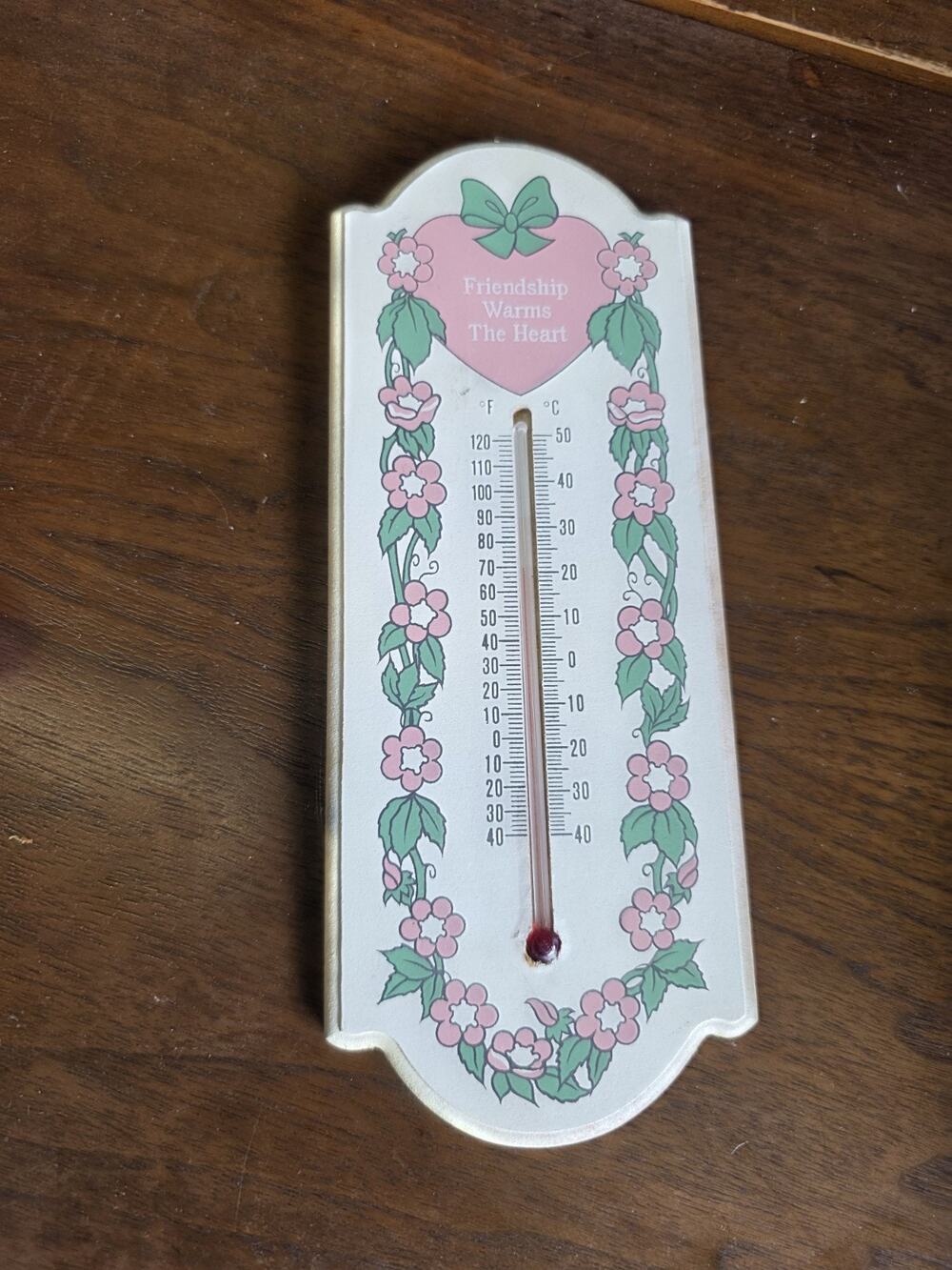 Vintage Thermometer Nobel Hall Friendship Warms the Heart Taiwan 9.5x3.5" Floral